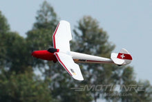 Load image into Gallery viewer, FMS Moa Glider 1500mm (59") Wingspan - PNP