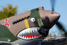 Load image into Gallery viewer, FMS P-40B Warhawk High Speed 980mm (38.6") Wingspan - PNP
