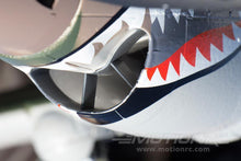 Load image into Gallery viewer, FMS P-40B Warhawk High Speed 980mm (38.6") Wingspan - PNP