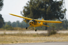 Load image into Gallery viewer, Dynam Piper J3 Cub 1200mm (47") Wingspan - RTF - (OPEN BOX)
