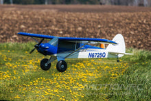 Load image into Gallery viewer, E-flite Carbon-Z Cub 2150mm (84.6") Wingspan - PNP
