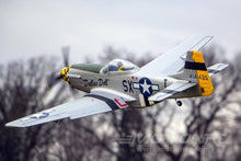 Load image into Gallery viewer, E-flite P-51D Mustang 1120mm (44") Wingspan - PNP
