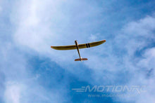 Load image into Gallery viewer, E-flite Radian BNF Basic 2000mm (78.7") Wingspan - BNF
