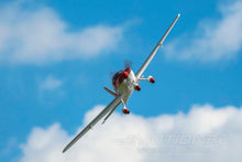 Load image into Gallery viewer, E-flite UMX Cirrus SR22T BNF Basic 732mm (28.8") Wingspan - BNF
