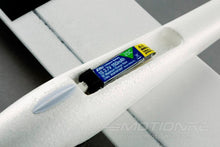 Load image into Gallery viewer, E-flite UMX Radian with AS3X 730mm (28.7") Wingspan - BNF
