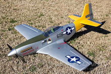 Load image into Gallery viewer, FlightLine P-51D Mustang 850mm (33") Wingspan - PNP
