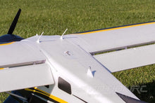 Load image into Gallery viewer, FMS Beaver 2000mm (78") Wingspan - PNP
