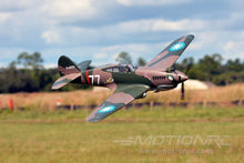 Load image into Gallery viewer, FMS P-40B Warhawk Flying Tiger 1400mm (55") Wingspan - PNP
