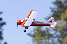 Load image into Gallery viewer, XK DHC-2 Beaver A600 with Gyro 580mm (22.8") Wingspan - FTR
