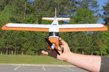 Load image into Gallery viewer, XK DHC-2 Beaver A600 with Gyro 580mm (22.8") Wingspan - FTR
